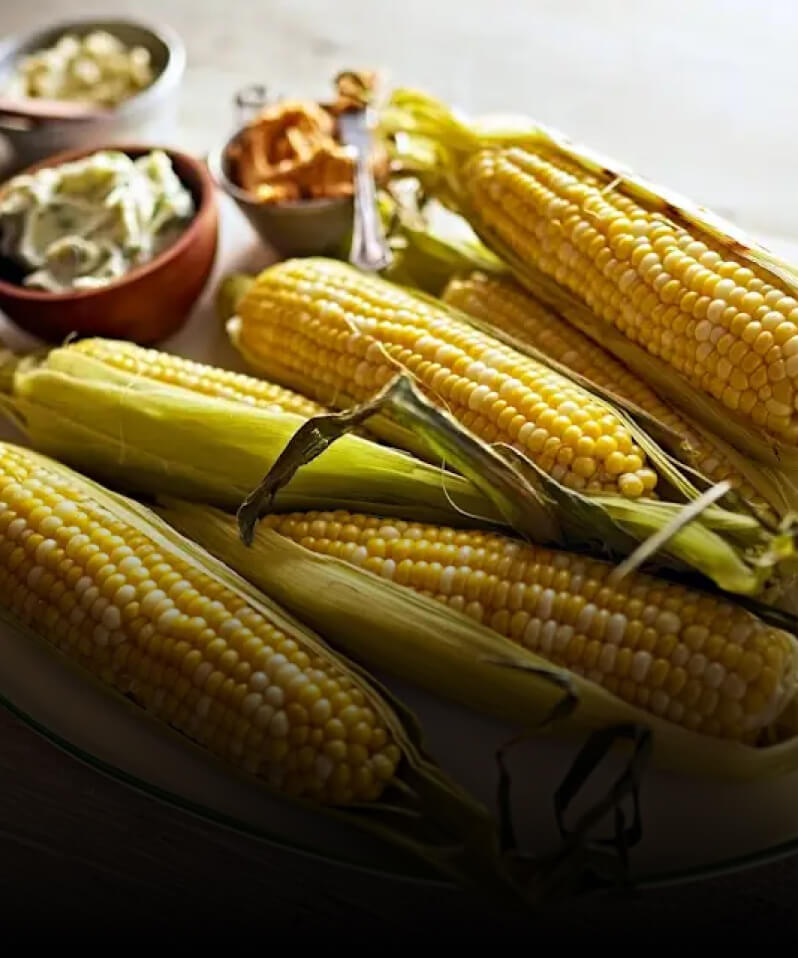 Freshly shucked ears of yellow corn.