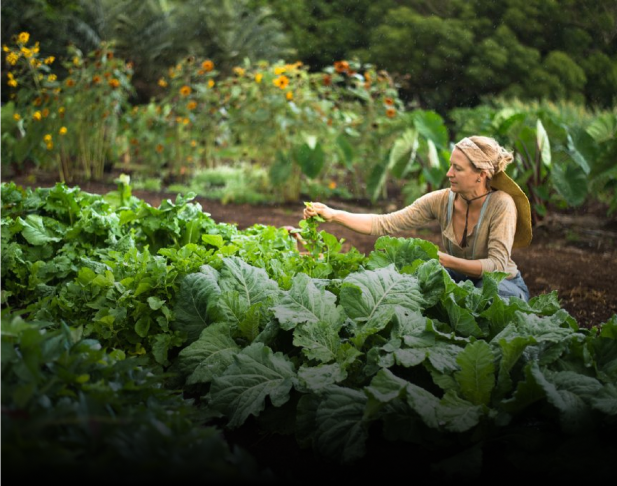 A person working in a lush garden.