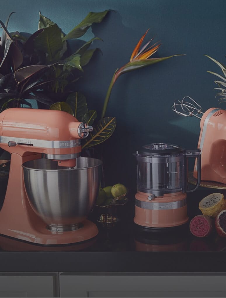 https://www.kitchenaid.com/content/dam/business-unit/kitchenaid/en-us/digital-assets/pages/coty-2022/bird.jpeg?fit=constrain&fmt=jpg&wid=2875