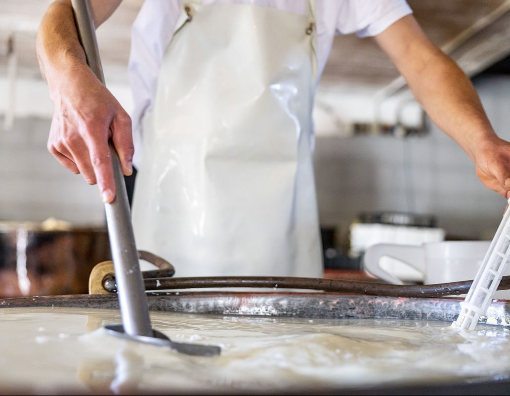 The process of making cheese.
