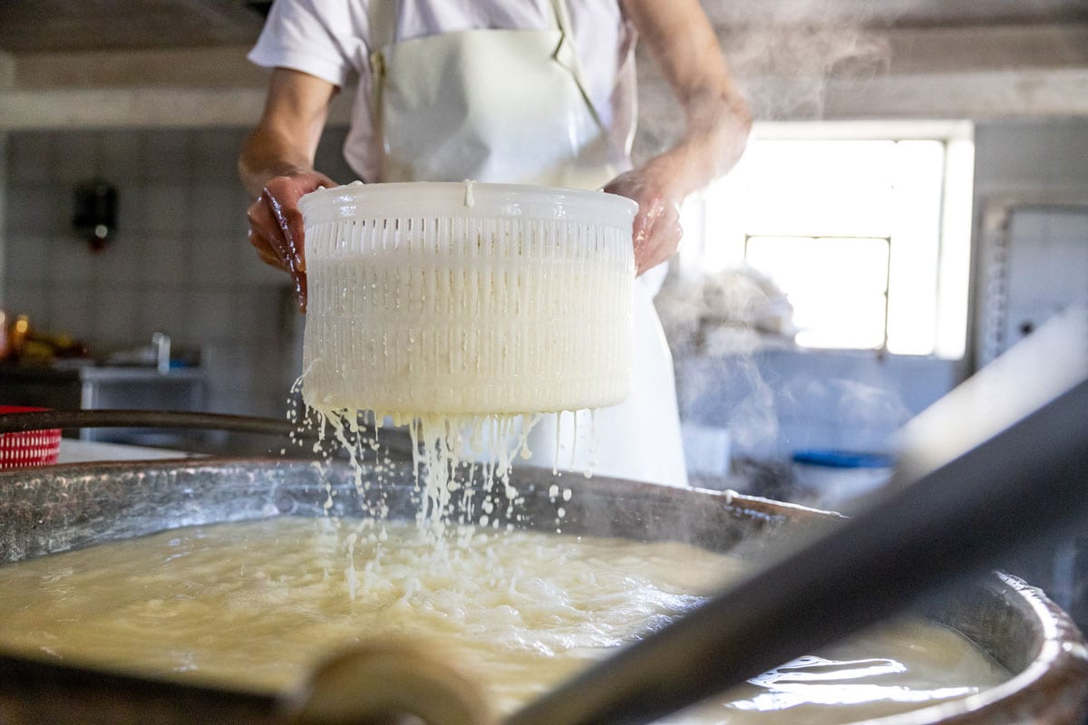 Straining curds.