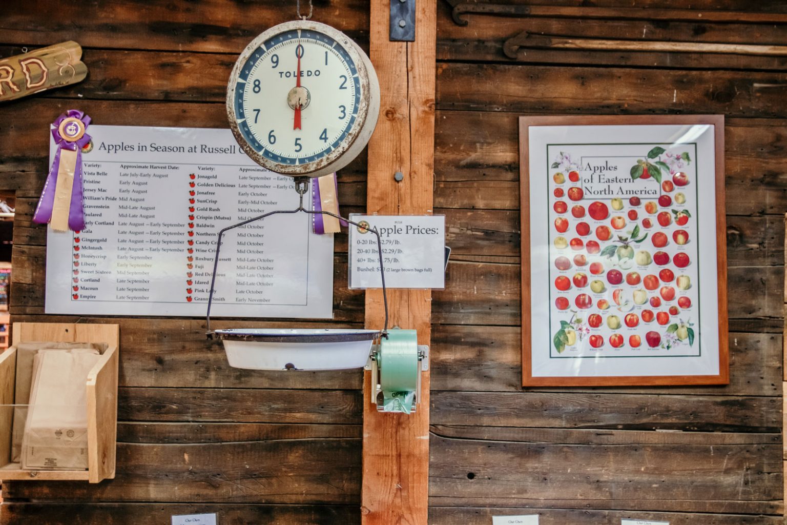 An old-fashioned scale used to weigh apples.