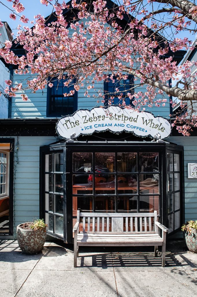 The sun-soaked exterior of The Zebra Striped Whale.