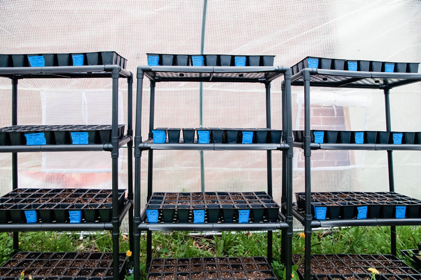 Black trays of nursery plants growing.