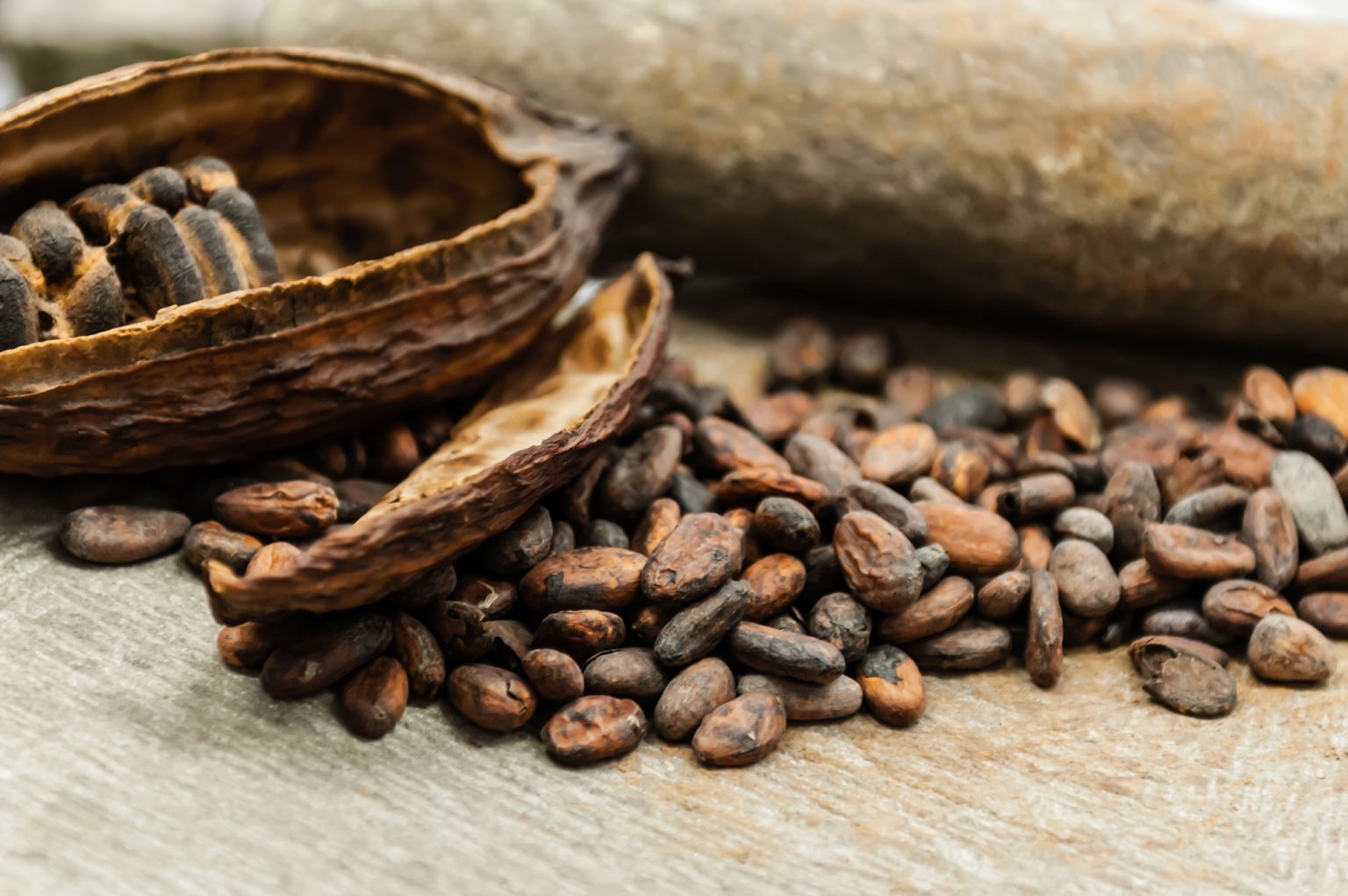 A small pile of cocoa beans resting on a table.