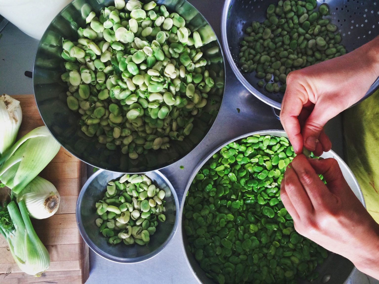 Four metal bowls of varying sizes filled with fava beans.