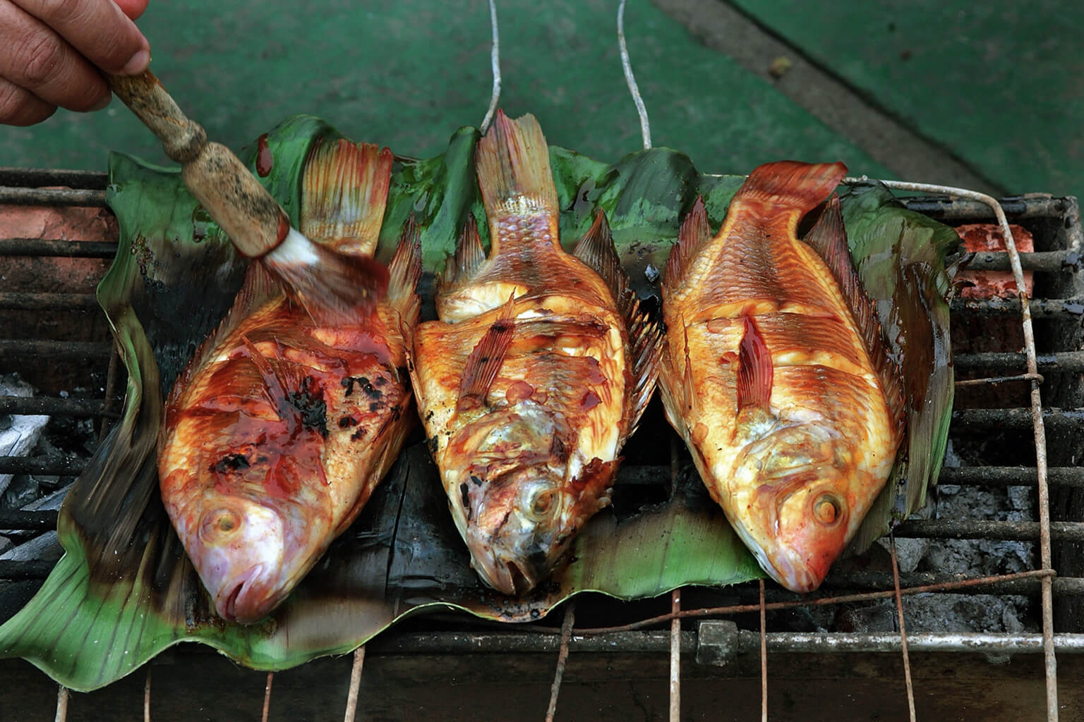 Three whole fished freshly grilled in banana leaves.