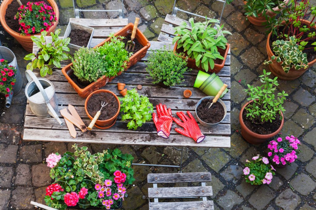 A variety of garden tools, pots and plants resting on a wooden table.