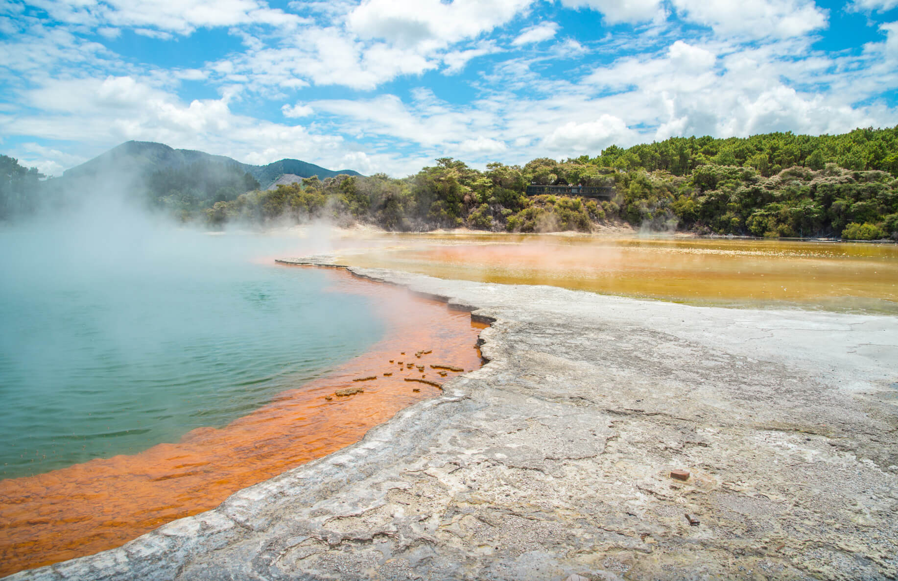 Natural hot springs of New Zealand under a sunny sky.