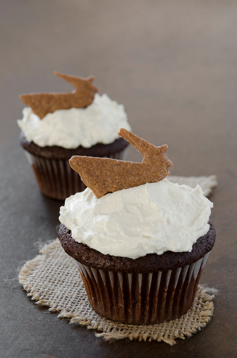 Two delicious cupcakes.