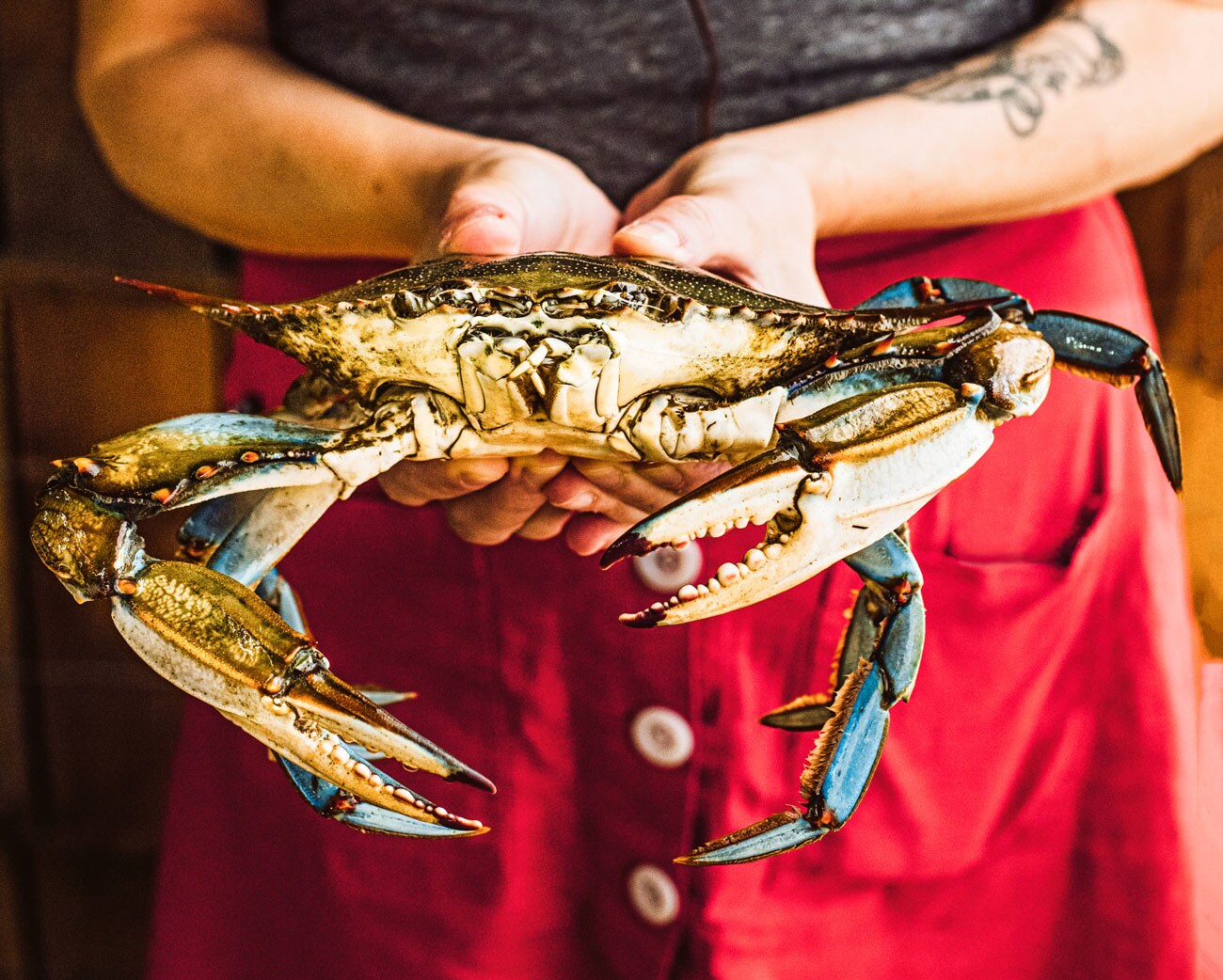 Chef Melissa Martin holding a large blue crab.