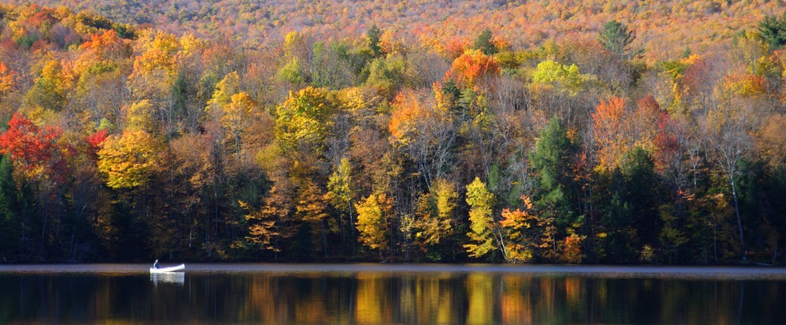 A wide shot of an autumn forest resting beyond a calm lake with a single row boat and passenger.