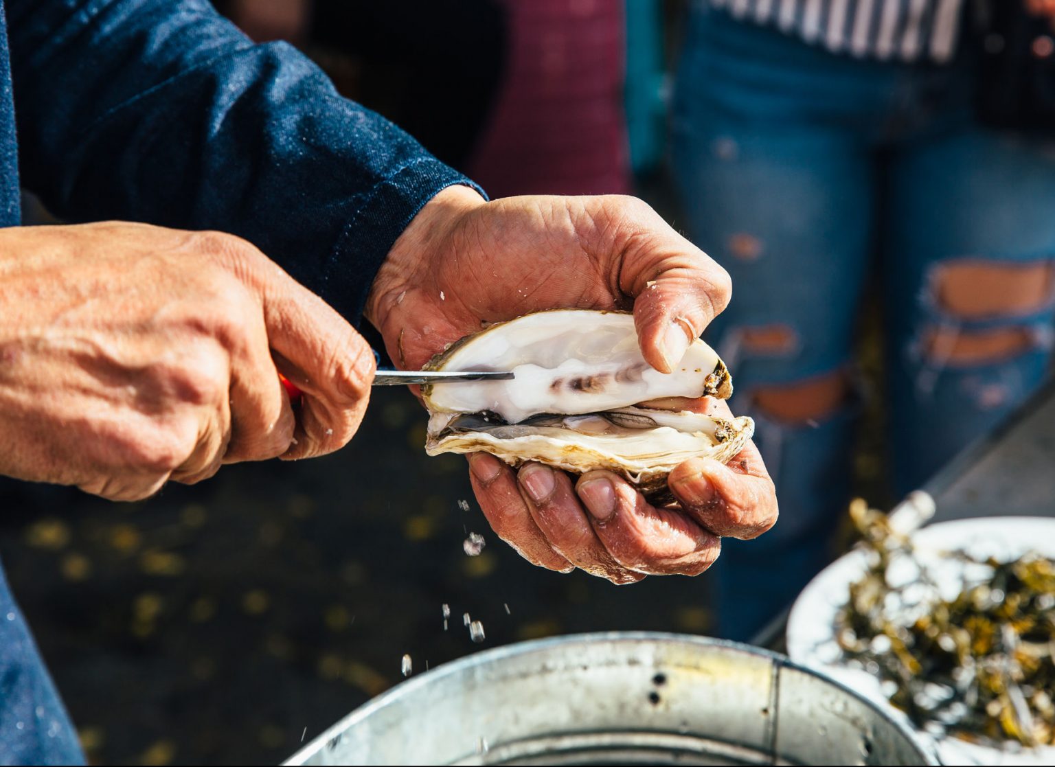 Strong hands expertly shucking fresh oysters.