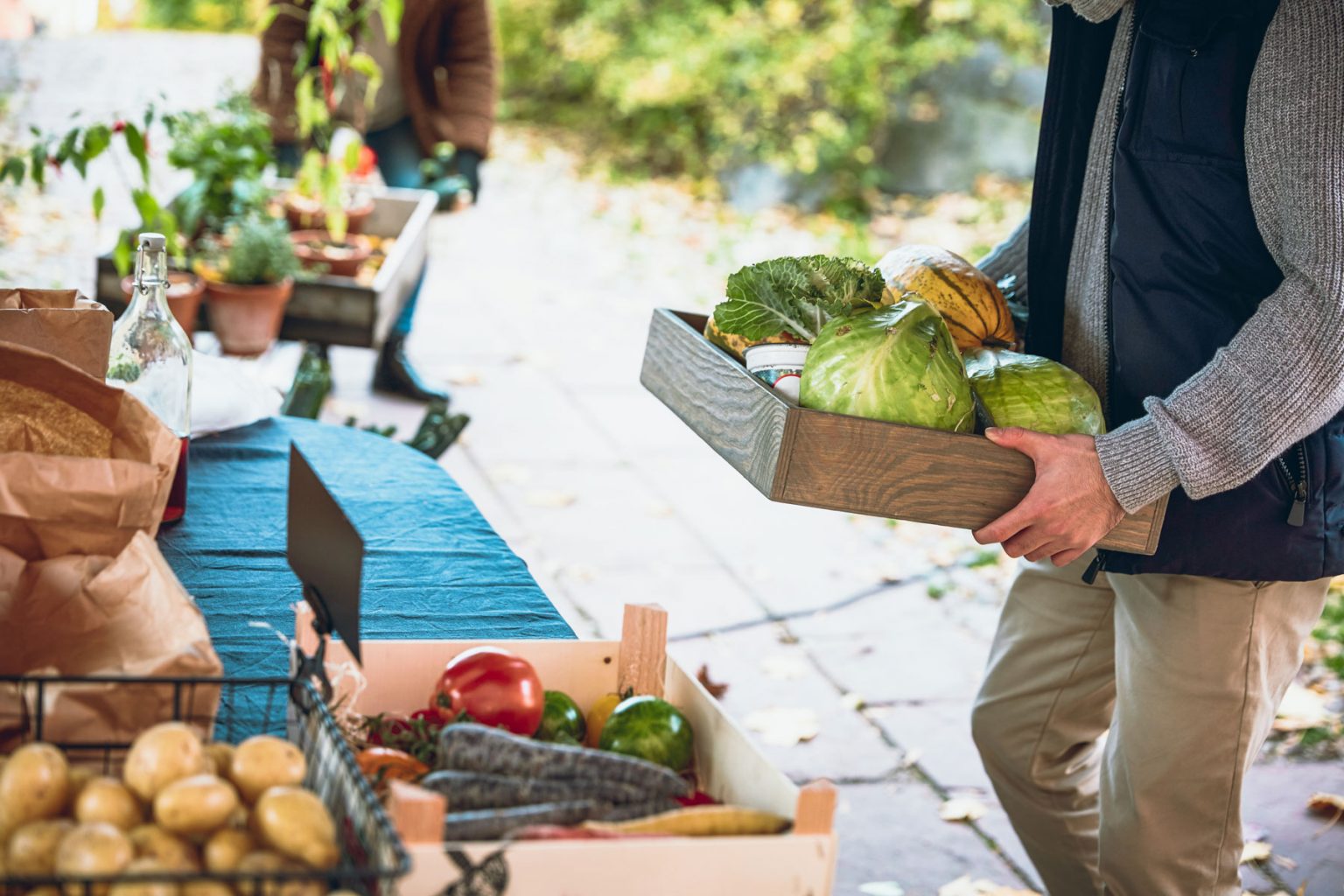 A person carrying a variety of fresh, organic vegetables.
