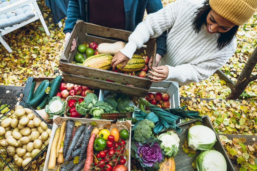 Two people choosing through assorted organic vegetables.