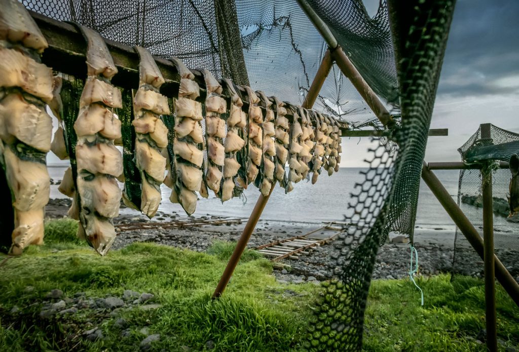 Sliced fillets of fish drying.
