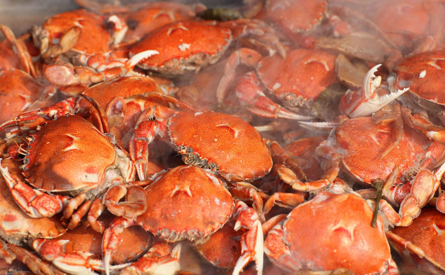 Endless piles of steamed, whole crabs.