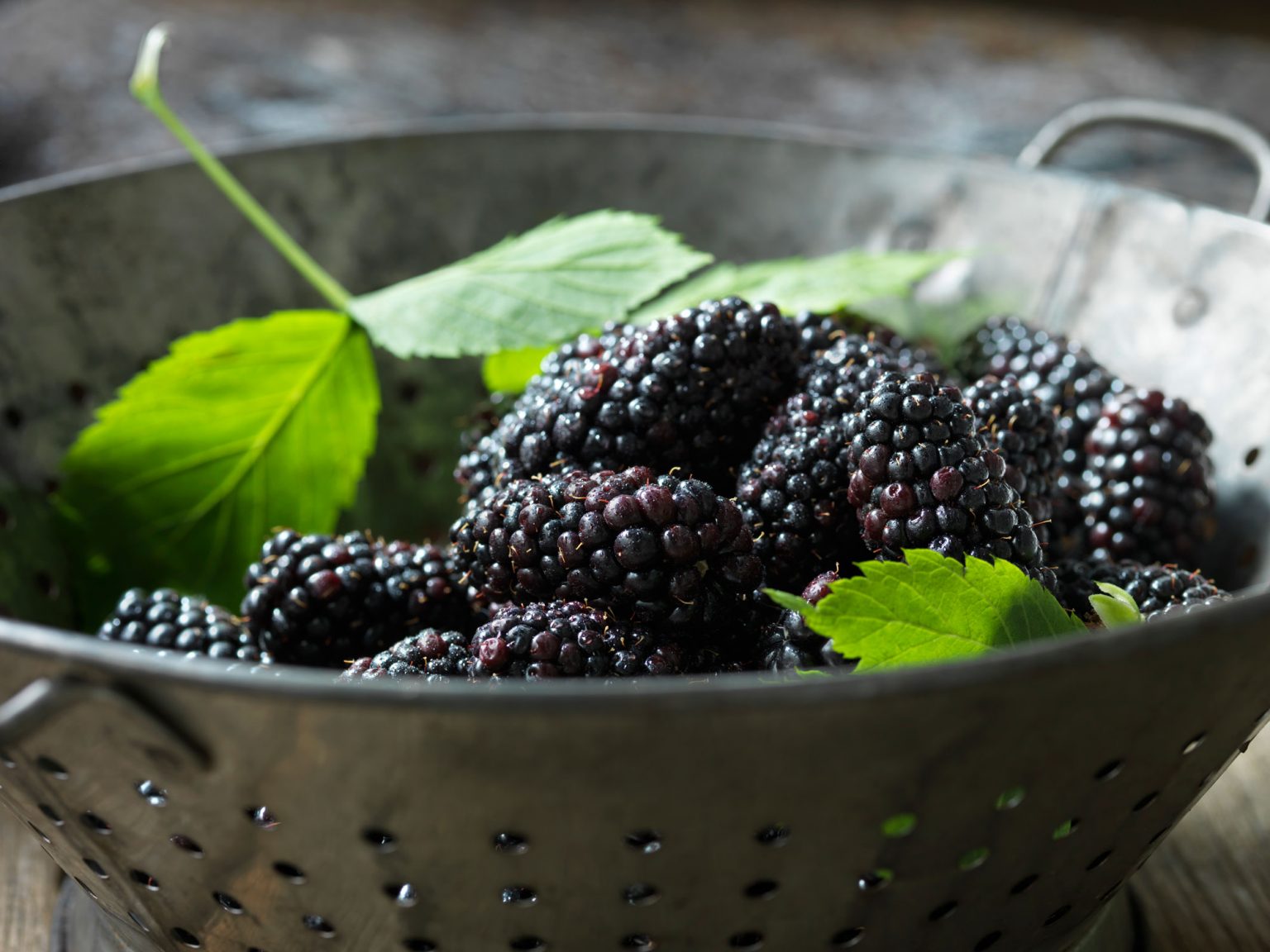 A silver colander filled with mint leaves and blackberries.