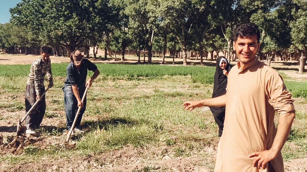 Mohammad Salehi admiring the work of his farmers.
