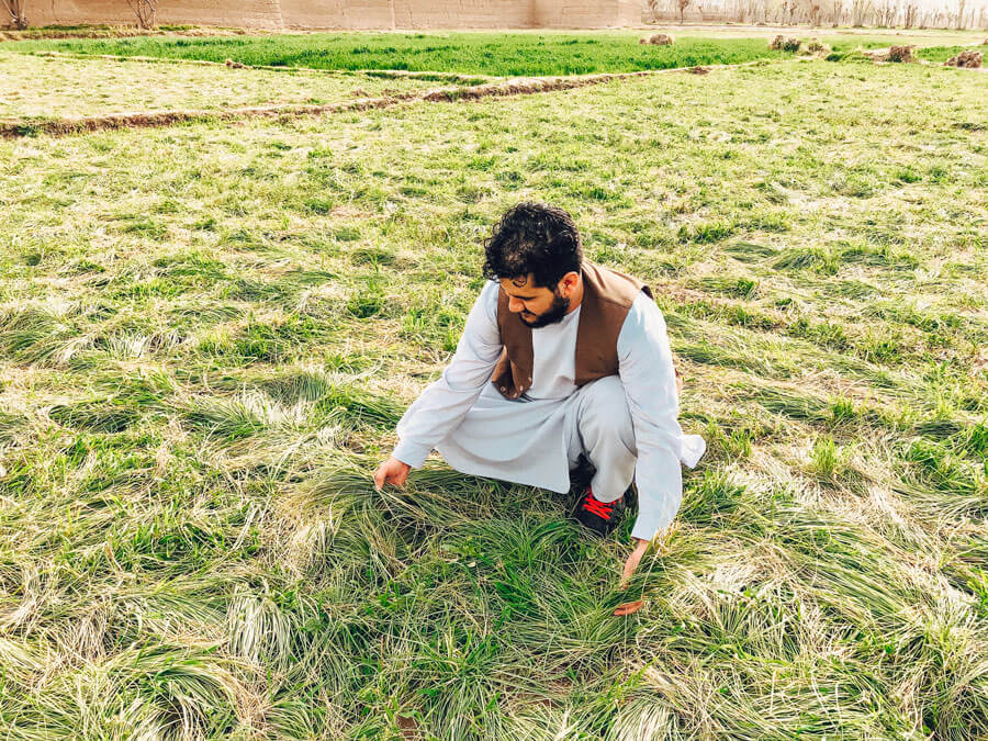 Mohammad Salehi working in the field.