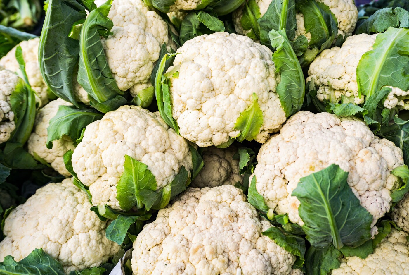 A large pile of clean, whole cauliflower.