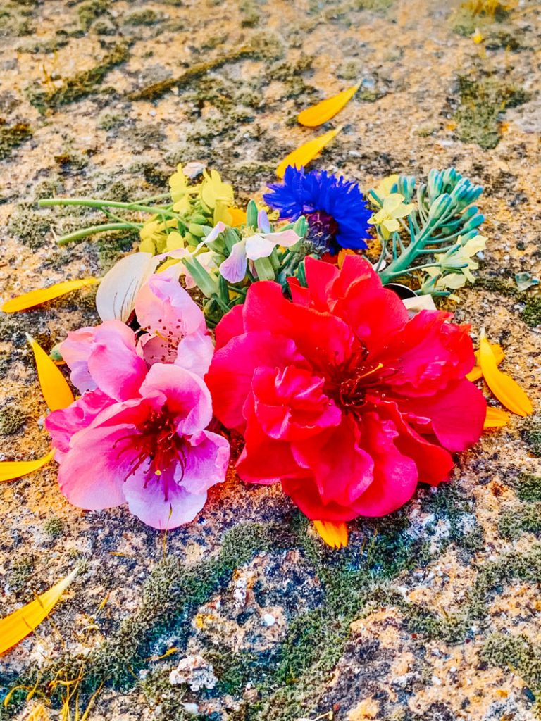 A variety of hand-picked flowers resting on the ground.