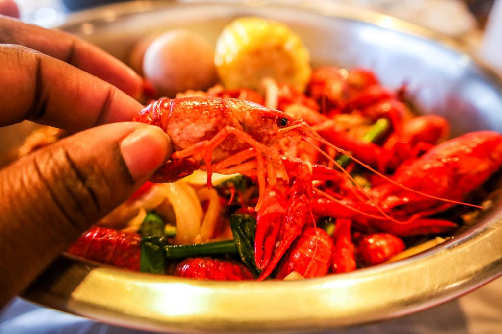 A person holding a single crawfish.