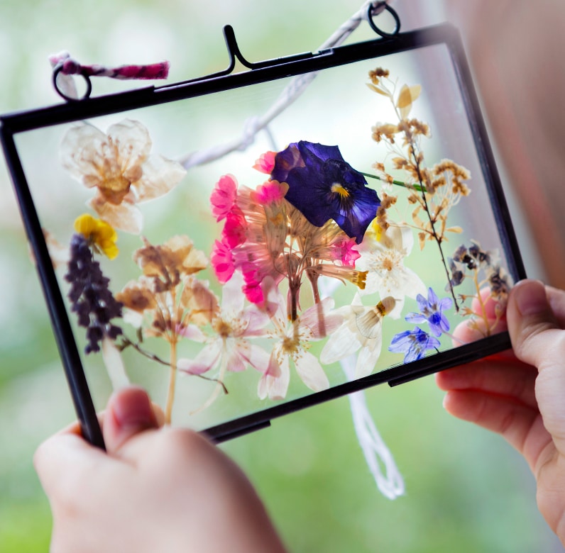 Pressed florals in a frame.