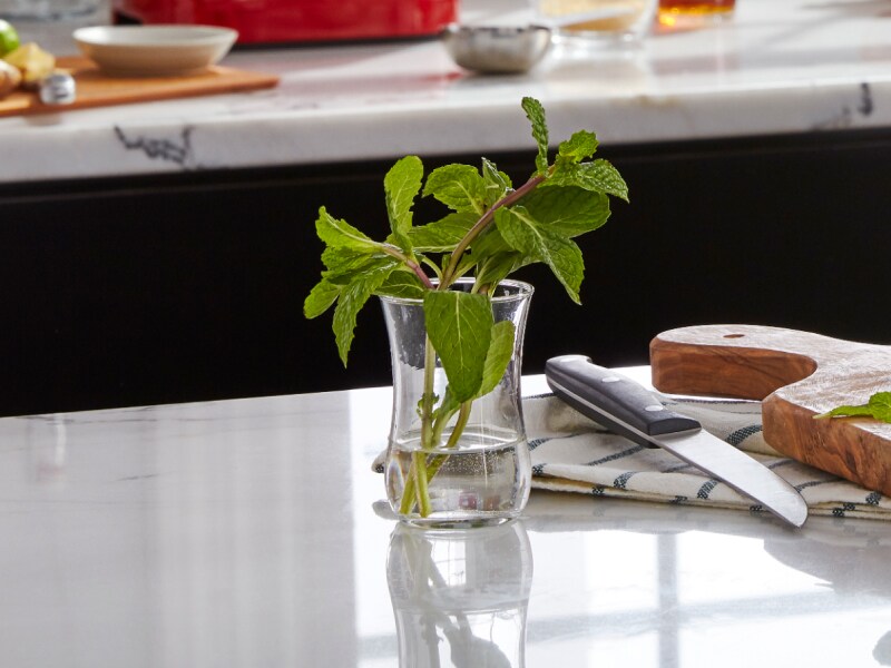Fresh mint leaves in a glass