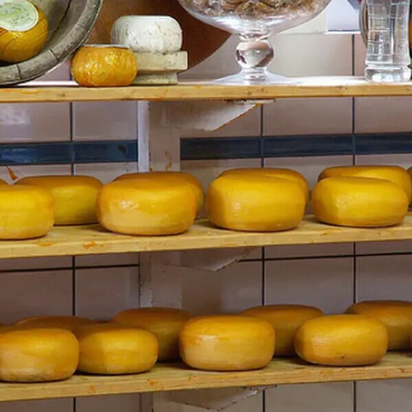 Edam on shelves