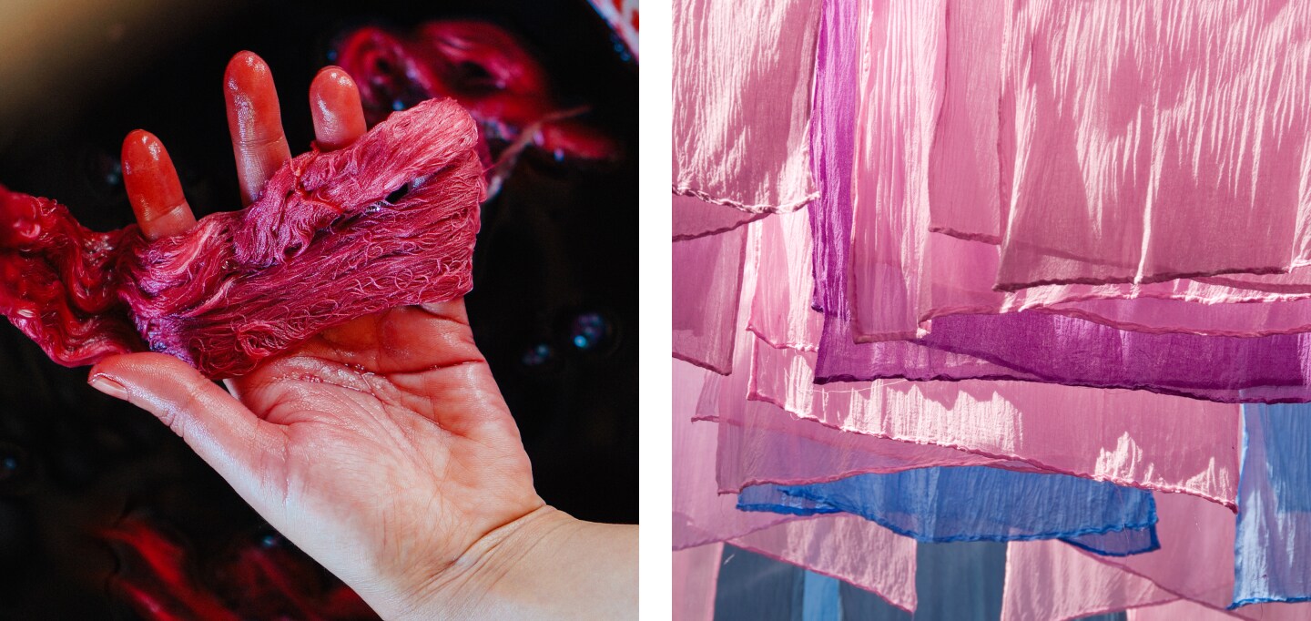 Hand holding cloth dyed with beetroot, and brightly dyed fabrics drying on clothesline Hand holding cloth dyed with beetroot. Brightly dyed fabrics drying on clothesline