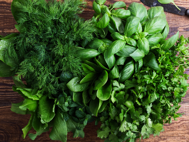 Bundle of assorted fresh herbs