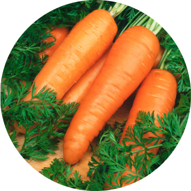 A bundle of bright orange raw carrots.