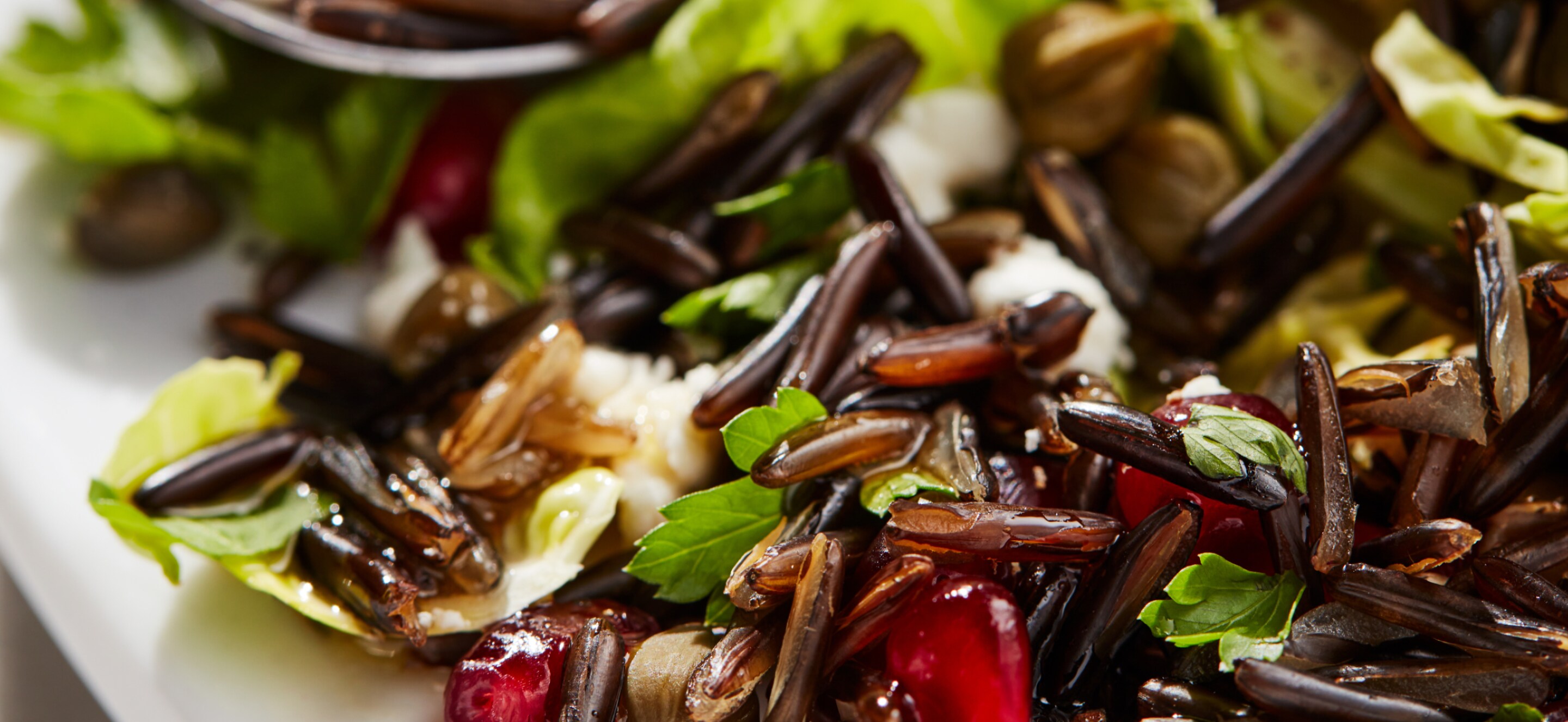 Close up image of a grain bowl