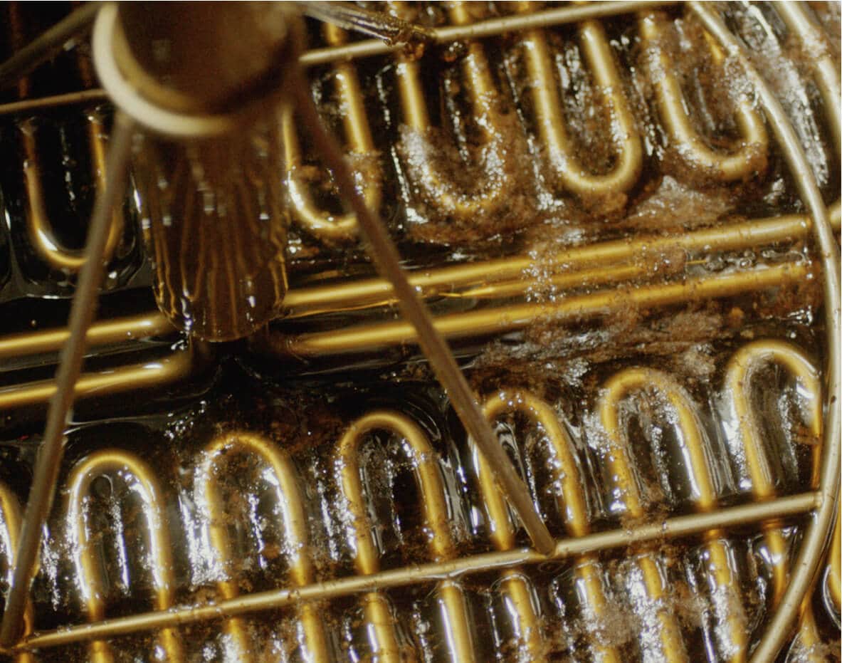 Honey going through the mead process.