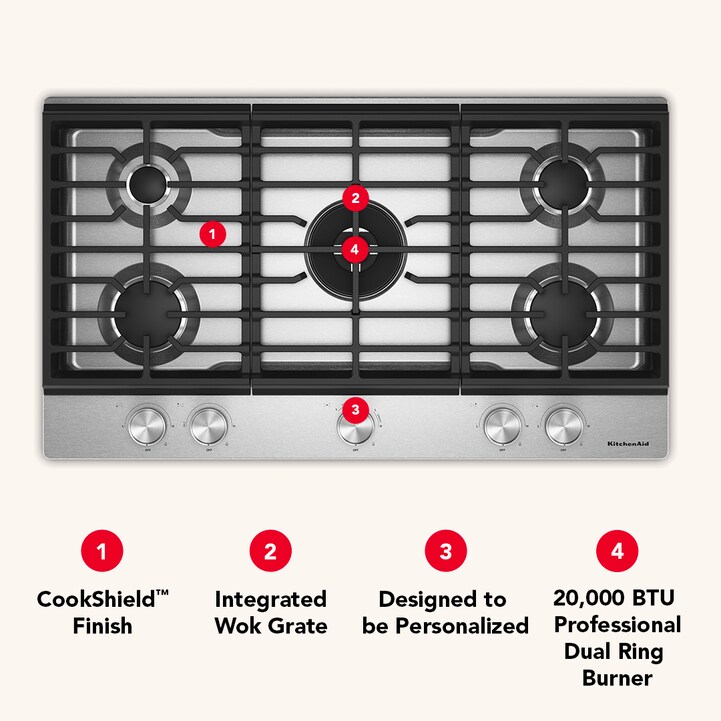 infographic1