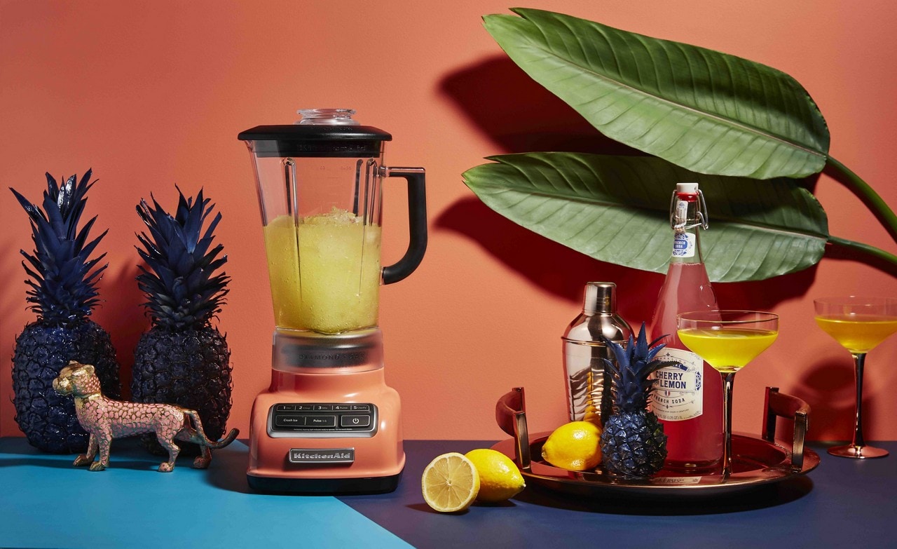 Bird of paradise kitchenaid mixer top