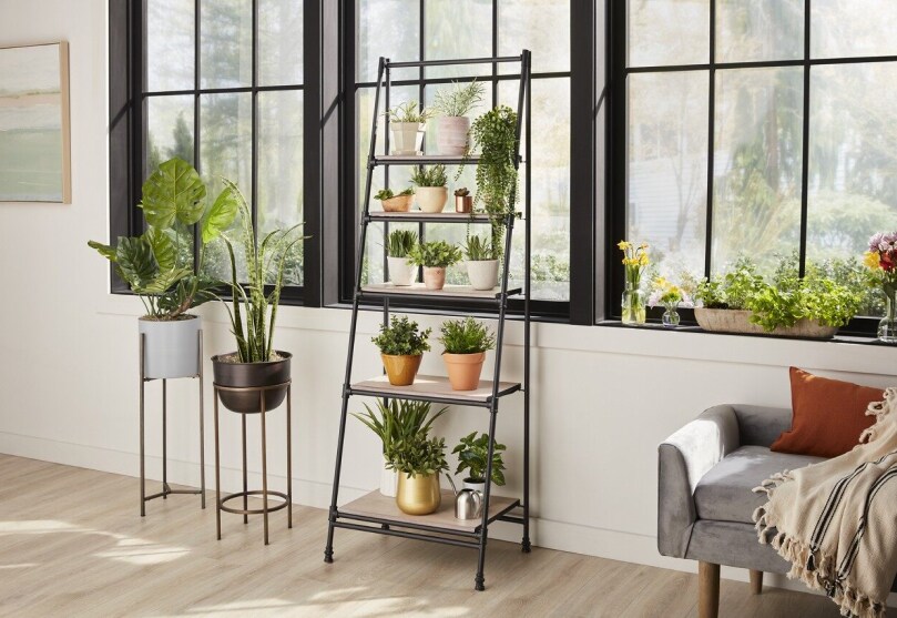 A variety of potted plants on shelving and in stands in front of large windows A variety of potted plants on shelving and in stands in front of large windows