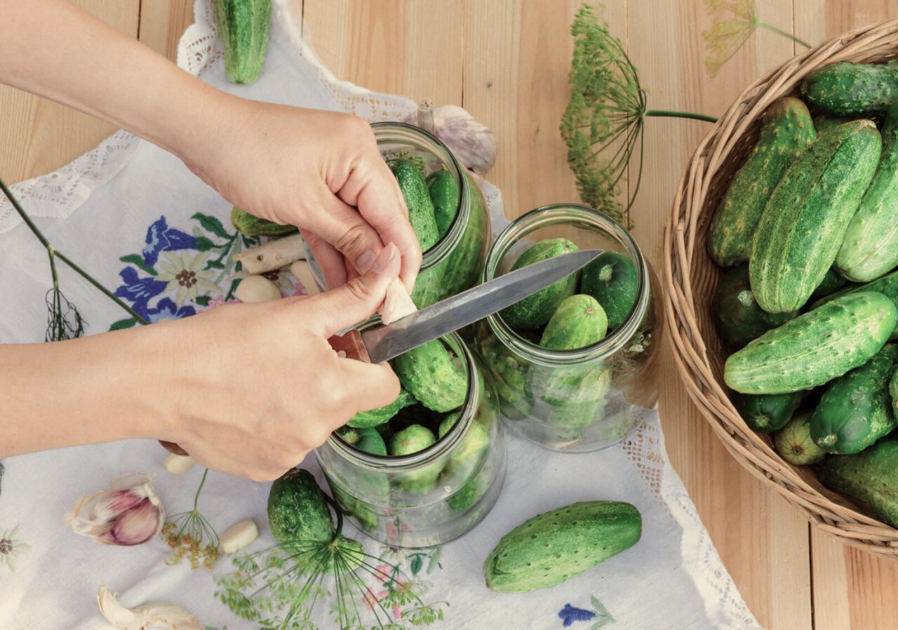 Cucumbers getting prepped for pickling with herbs and fresh garlic. Cucumbers getting prepped for pickling with herbs and fresh garlic.