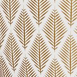 Gold Conifer