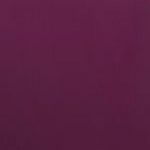 Boysenberry