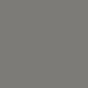 Tempest Grey