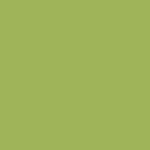Sunkissed Lime