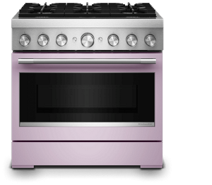 A Wildflower dual-fuel commercial-style range.