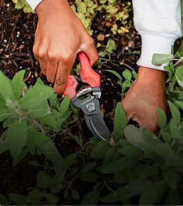 A person gardening.