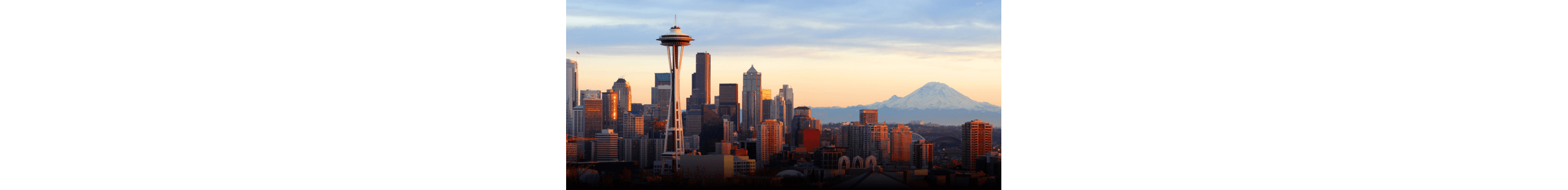 An image of the Seattle skyline.
