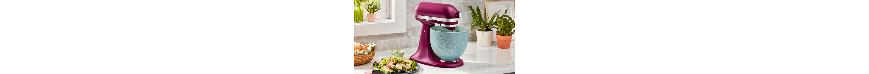 Stand shop bowl mixer