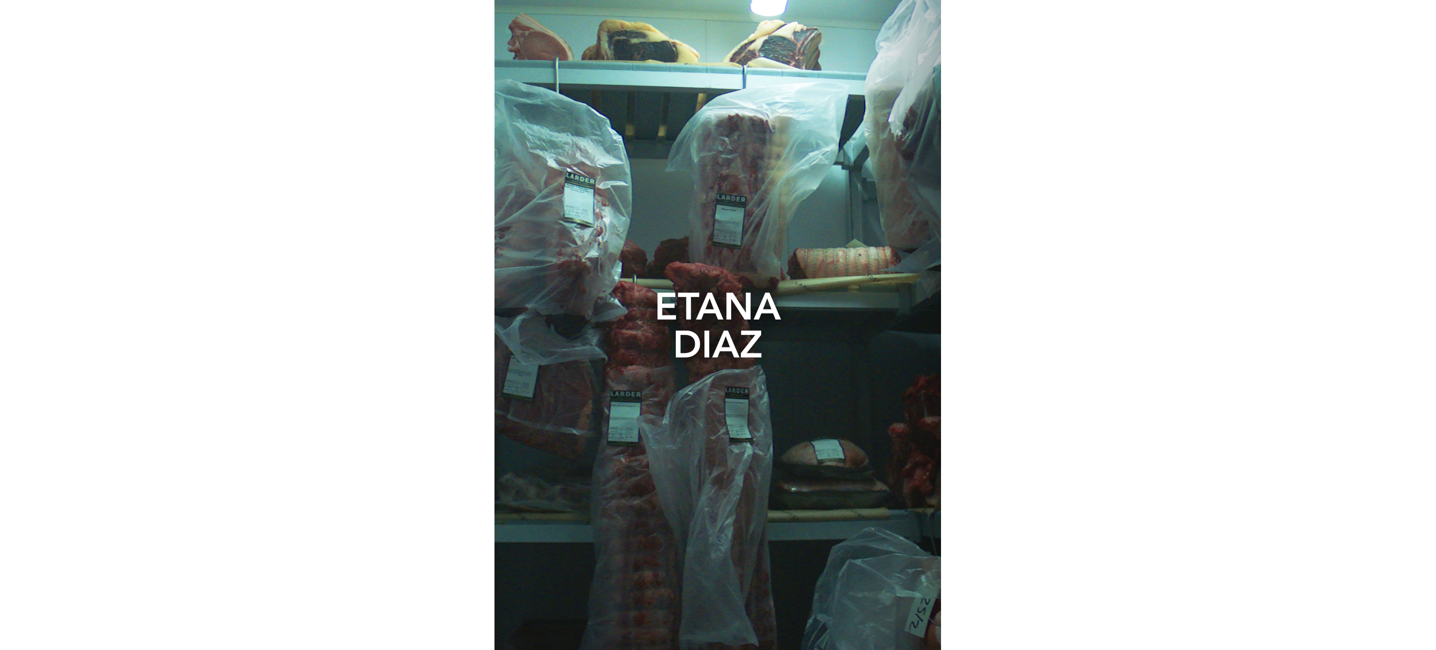 The dark, cold inside of a butcher’s meat refrigerator.