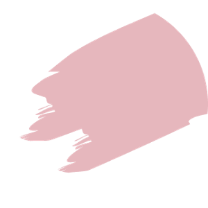 Dried Rose