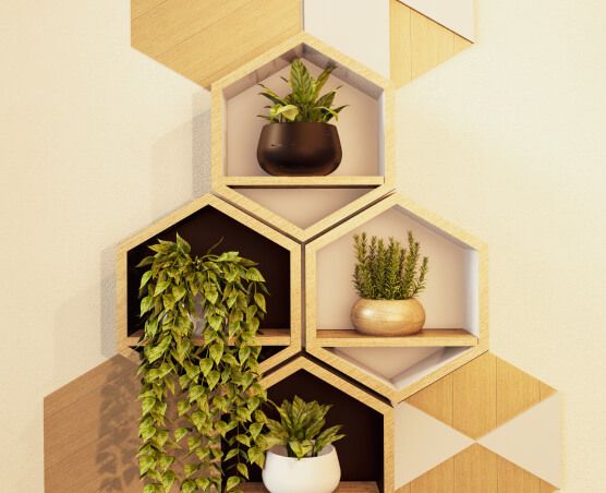 Honeycomb shelves filled with delicate plants.